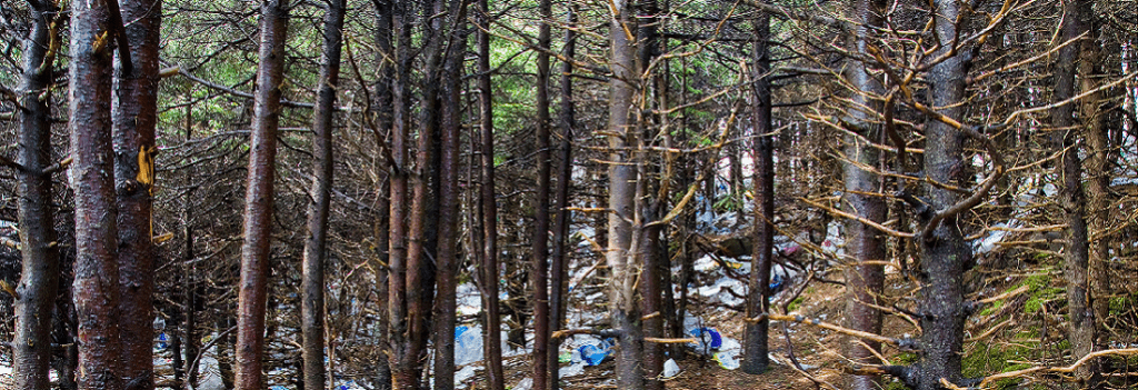 Znečisťovanie lesov plastami